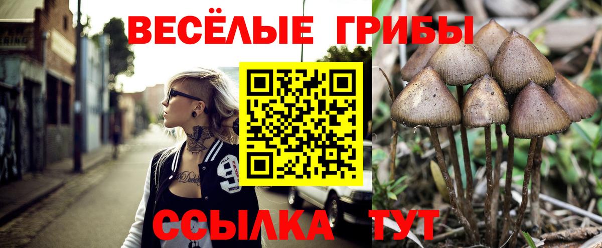 Псилоцибиновые грибы GOLDEN TEACHER Нальчик