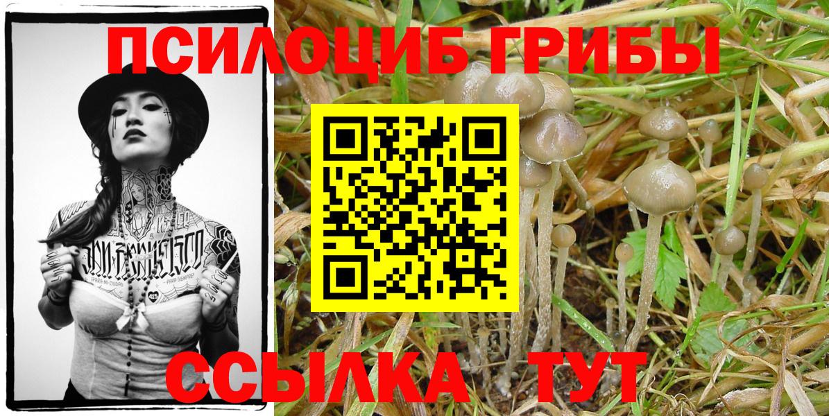 цена наркотик  Псилоцибиновые грибы мухоморы  Вход с VPN  Нальчик 
